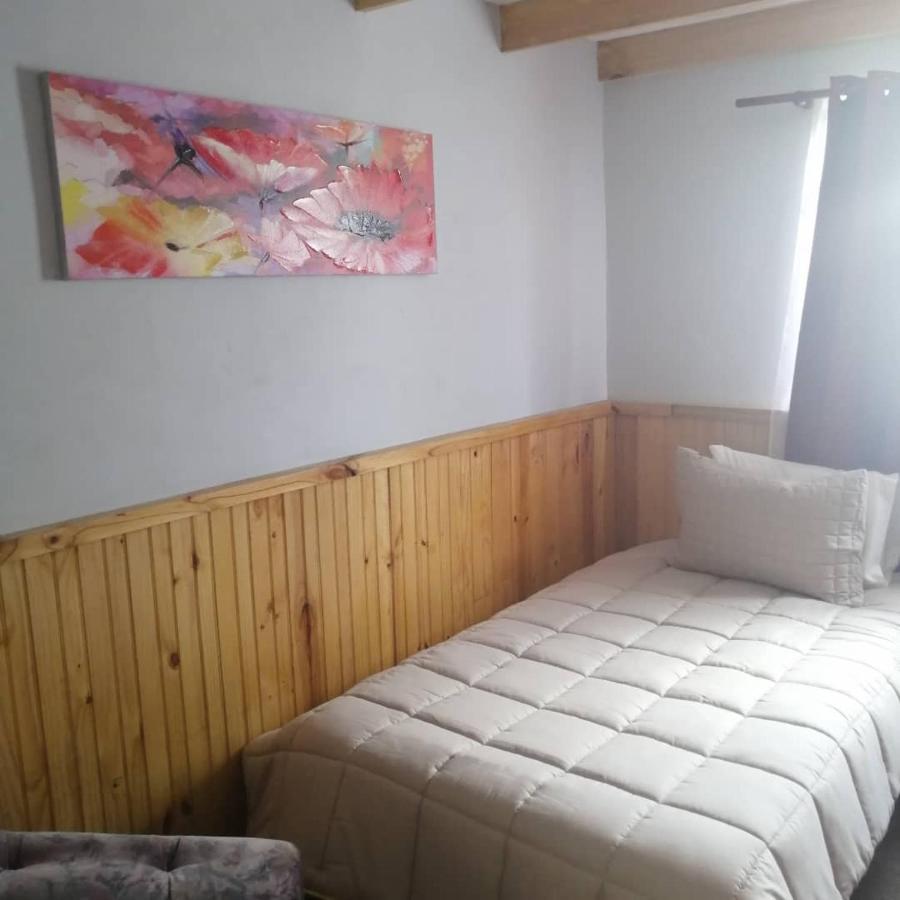 Hostal Y Cabanas Vientos Del Sur Puerto Ingeniero Ibanez 外观 照片